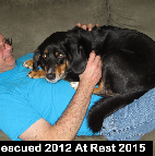 Toby Rescued 2012- At Rest 2015